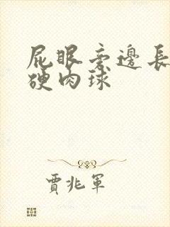 屁眼旁边长了个硬肉球封面