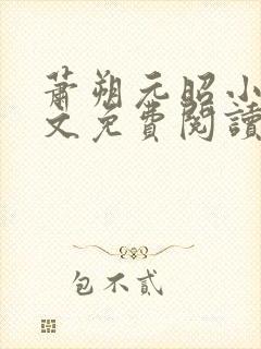 萧朔元昭小说全文免费阅读