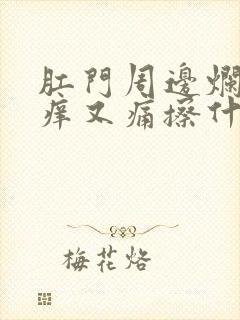 肛门周边烂了又痒又痛擦什么药封面