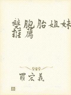 双胞胎姐妹小说推荐封面