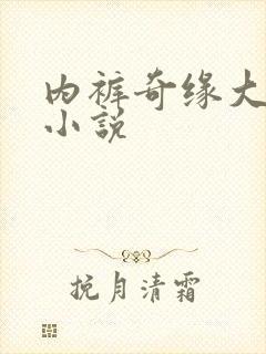 内裤奇缘大团结小说