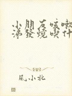 小朋友咳嗽流鼻涕发烧吃什么药