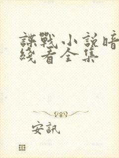 谍战小说暗夜在线看全集