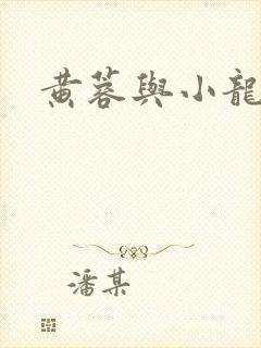 黄蓉与小龙女封面