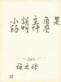 小说主角是陈也的叫什么