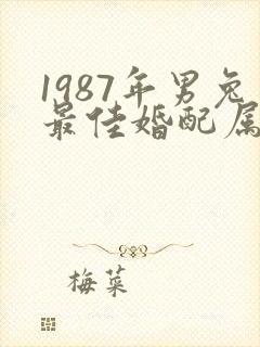 1987年男兔最佳婚配属相封面