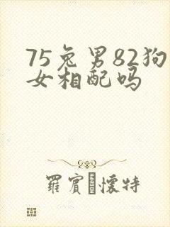 75兔男82狗女相配吗