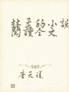 林柔的小说在线阅读全文