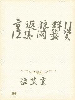 重返狼群11和12集网盘资源