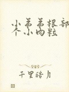 小弟弟根部长了个小肉粒封面