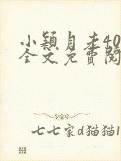 小颖月老400全文免费阅读