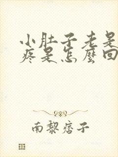 小肚子老是下坠疼是怎么回事封面