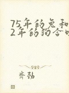 75年的兔和82年的狗合吗