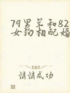 79男羊和82女狗相配婚姻如何