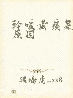 干咳黄痰是什么原因