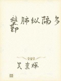 双肺纵隔多个结节