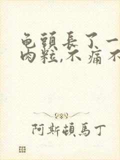 龟头长了一颗小肉粒,不痛不痒