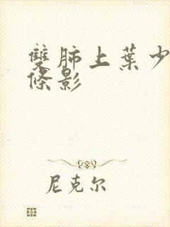 双肺上叶少许索条影