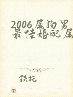 2006属狗男最佳婚配属相
