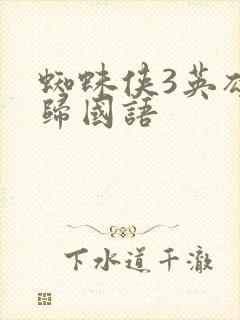 蜘蛛侠3英雄无归国语