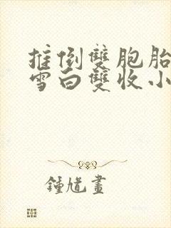 推倒双胞胎美女雪白双收小说