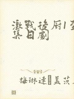 激战后厨1至5集日剧