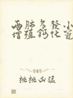 两肺多发小结节增殖钙化灶考虑