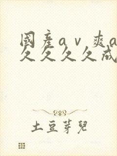 国产aⅴ爽av久久久久成人网