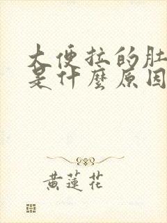 大便拉的肚子疼是什么原因