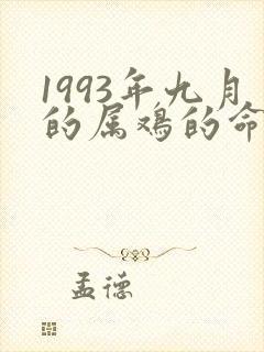 1993年九月的属鸡的命运