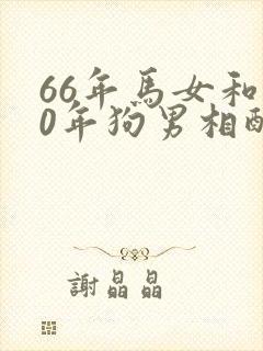66年马女和70年狗男相配婚姻如何