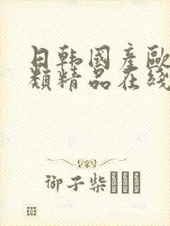 日韩国产欧美另类精品在线播放