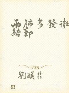 两肺多发微小实结节封面