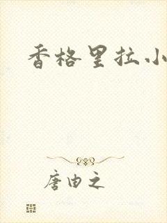 香格里拉小说封面