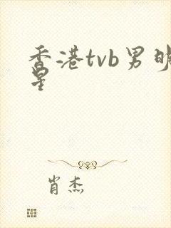 香港tvb男明星封面