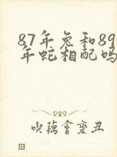 87年兔和89年蛇相配吗封面