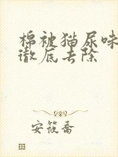 棉被猫尿味怎么彻底去除