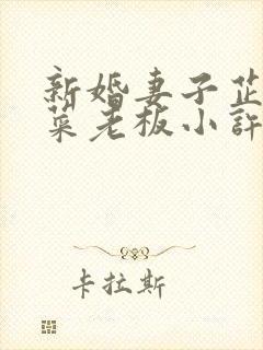 新婚妻子芷珊和菜老板小许小说免费