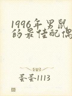 1996年男鼠的最佳配偶属相