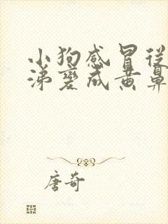 小狗感冒从清鼻涕变成黄鼻涕了封面