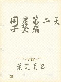 同房第二天小肚子坠痛封面