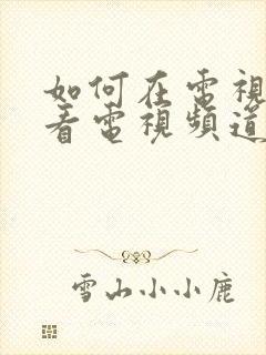 如何在电视机上看电视频道