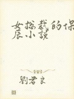 女总裁的保镖叶辰小说