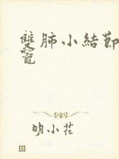 双肺小结节钙化灶