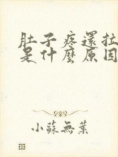 肚子疼还拉肚子是什么原因封面