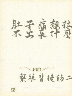 肚子痛想拉又拉不出来什么原因