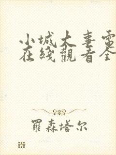 小城大事电视剧在线观看全集24集