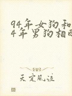 94年女狗和94年男狗相配婚姻如何