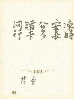 网赌公安冻结银行卡多长时间解冻