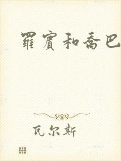 罗宾和乔巴本子封面